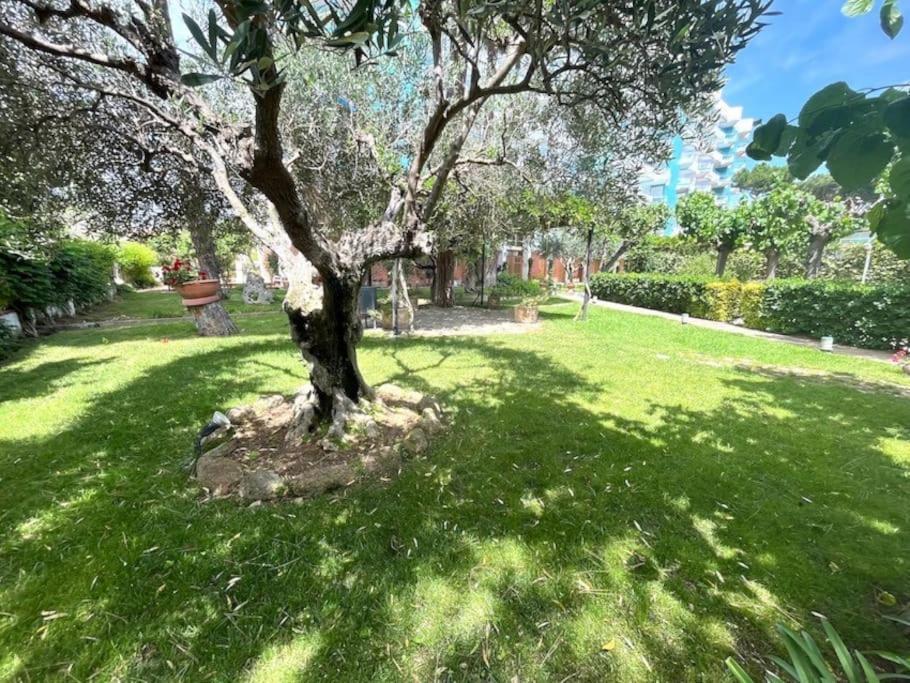 Apartamento Platja D 'Aro, 5 Camas 2 Dormitorios Platja d'Aro Luaran gambar